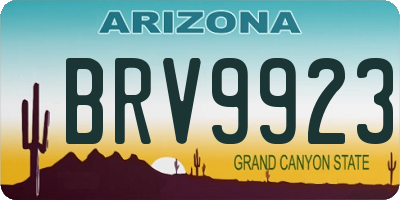 AZ license plate BRV9923