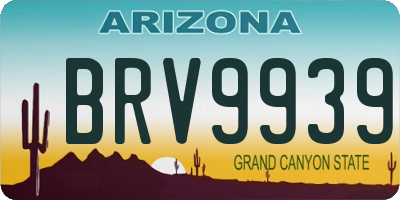AZ license plate BRV9939