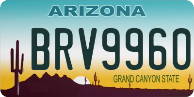 AZ license plate BRV9960