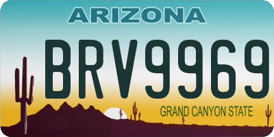 AZ license plate BRV9969