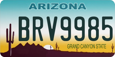 AZ license plate BRV9985
