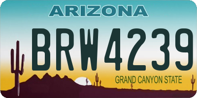AZ license plate BRW4239