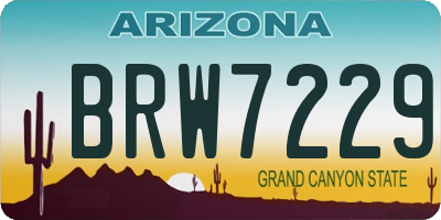 AZ license plate BRW7229