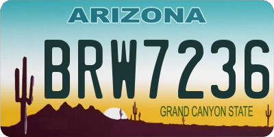 AZ license plate BRW7236