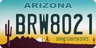 AZ license plate BRW8021