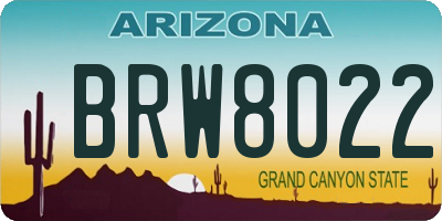 AZ license plate BRW8022