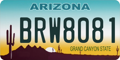 AZ license plate BRW8081