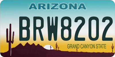 AZ license plate BRW8202