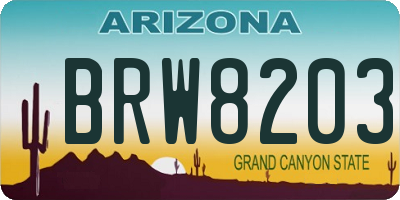 AZ license plate BRW8203