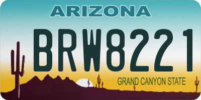 AZ license plate BRW8221