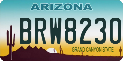 AZ license plate BRW8230