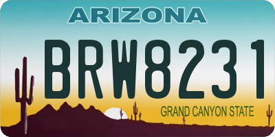 AZ license plate BRW8231