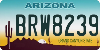 AZ license plate BRW8239
