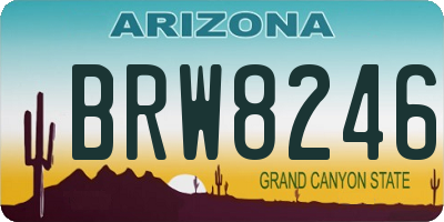 AZ license plate BRW8246