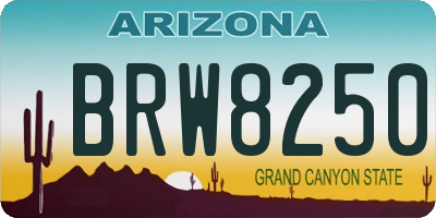 AZ license plate BRW8250