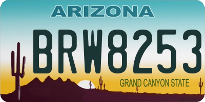 AZ license plate BRW8253