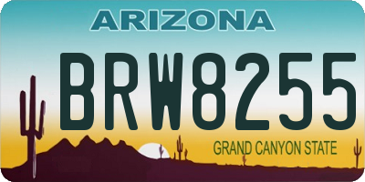 AZ license plate BRW8255
