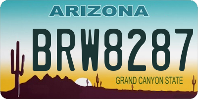 AZ license plate BRW8287