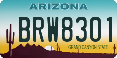 AZ license plate BRW8301