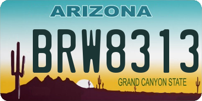 AZ license plate BRW8313