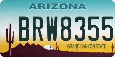 AZ license plate BRW8355