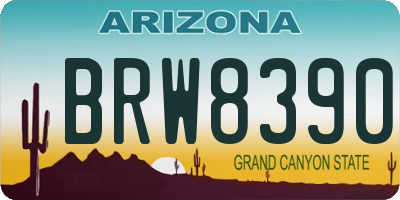 AZ license plate BRW8390