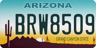 AZ license plate BRW8509