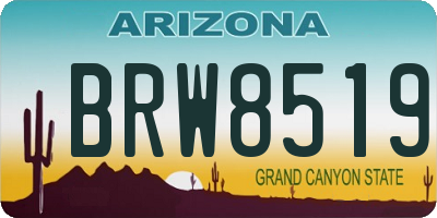 AZ license plate BRW8519