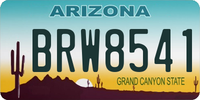 AZ license plate BRW8541