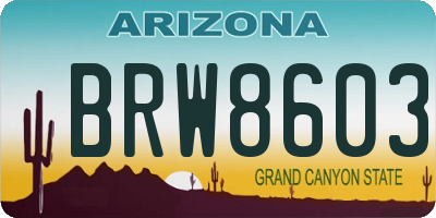 AZ license plate BRW8603