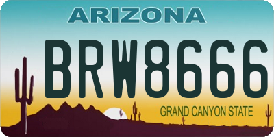 AZ license plate BRW8666