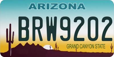 AZ license plate BRW9202