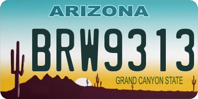AZ license plate BRW9313