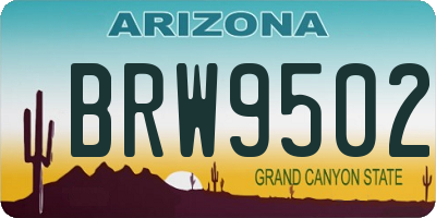 AZ license plate BRW9502