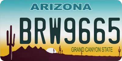 AZ license plate BRW9665