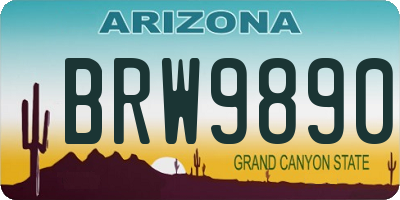 AZ license plate BRW9890