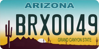 AZ license plate BRX0049