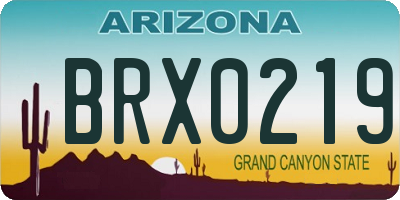 AZ license plate BRX0219