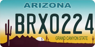 AZ license plate BRX0224