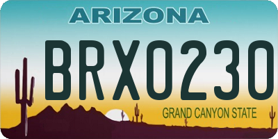 AZ license plate BRX0230