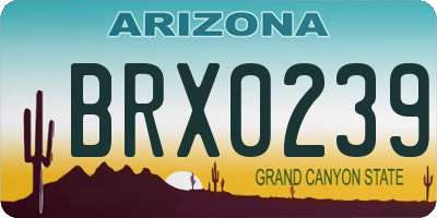 AZ license plate BRX0239