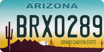 AZ license plate BRX0289