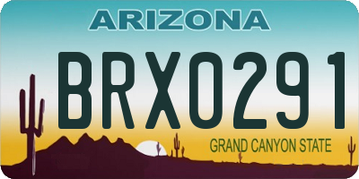 AZ license plate BRX0291