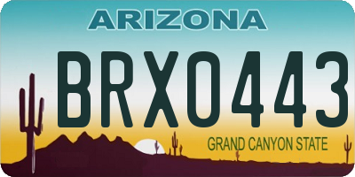 AZ license plate BRX0443