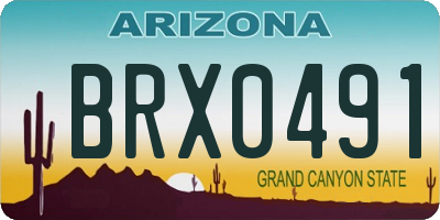 AZ license plate BRX0491