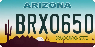 AZ license plate BRX0650