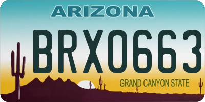 AZ license plate BRX0663