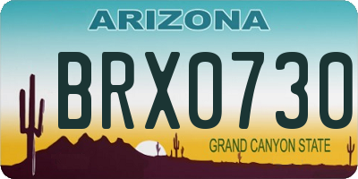 AZ license plate BRX0730
