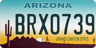 AZ license plate BRX0739