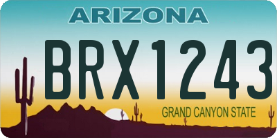 AZ license plate BRX1243